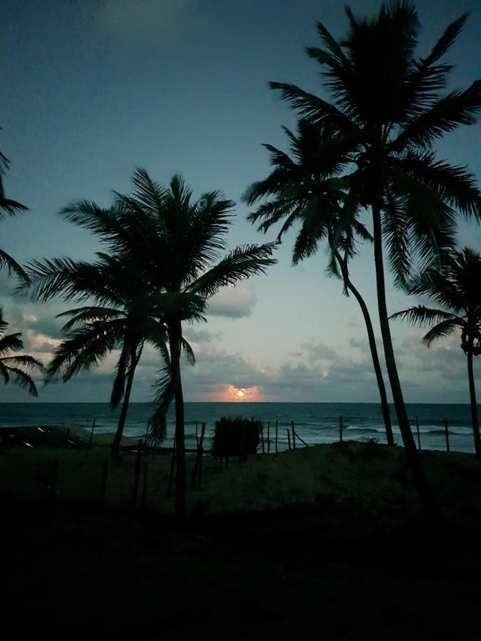 Rosagash Paradise - Praia De Santo Antonio Mata de Sao Joao Eksteriør bilde