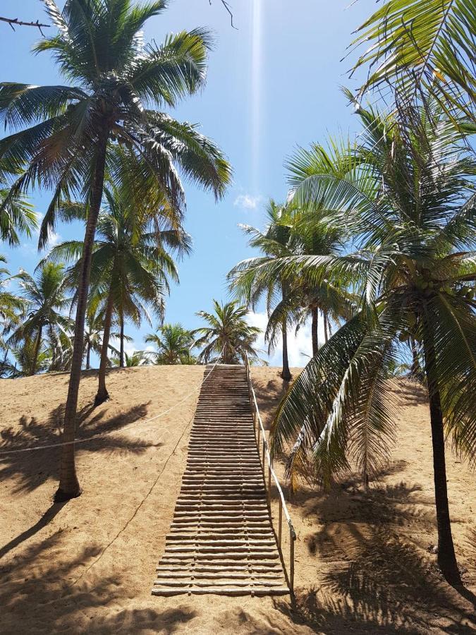 Rosagash Paradise - Praia De Santo Antonio Mata de Sao Joao Eksteriør bilde