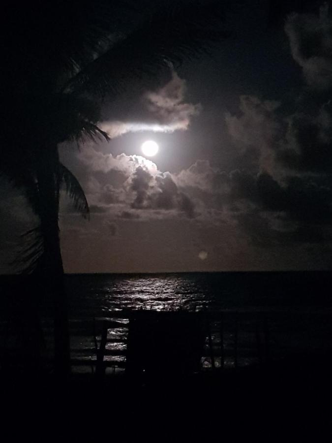 Rosagash Paradise - Praia De Santo Antonio Mata de Sao Joao Eksteriør bilde